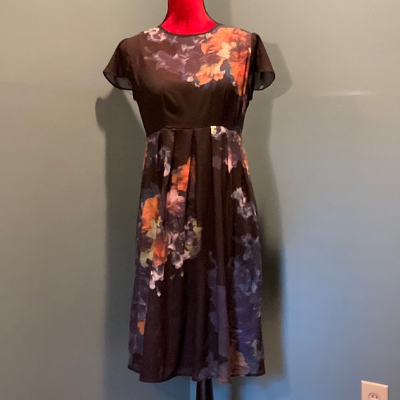 A Pea in the Pod Dresses & Skirts - Liberty Sage for Pea in the Pod Black Floral Dress Size Small